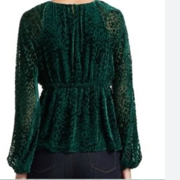 ALC KAREN FOREST GREEN EMERALD VELVET BURNOUT TUNIC TOP - M - Picture 2 of 10